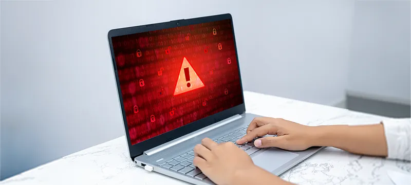 Rise in cyber fraud